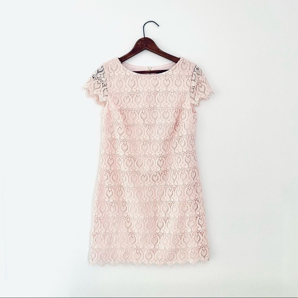 Cynthia Steffe | lace shift sheath Victorian dress cap sleeves